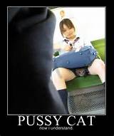 Pussy gato