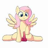 Meu pequeno pÃ´nei Fluttershy buceta