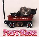 Pussy Wagon na by