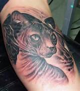 Pussy gato imagens tatuagem