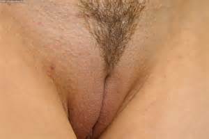 Pussy263 liso